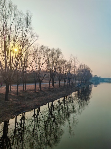 冬日湖畔晨曦景象