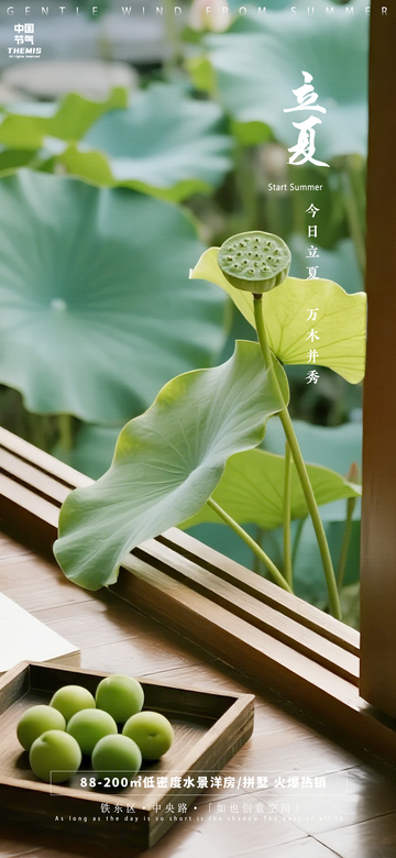 夏日荷风清新海报