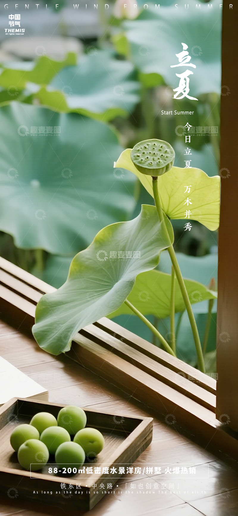 源文件下载【趣麦麦图】-夏日荷风清新海报