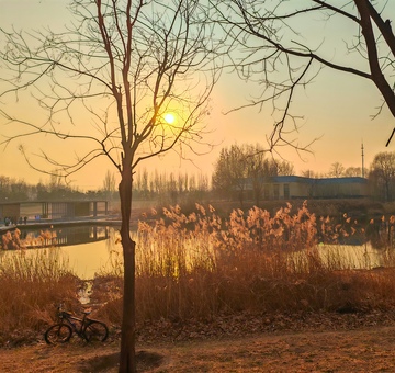 夕阳湖畔树影自行