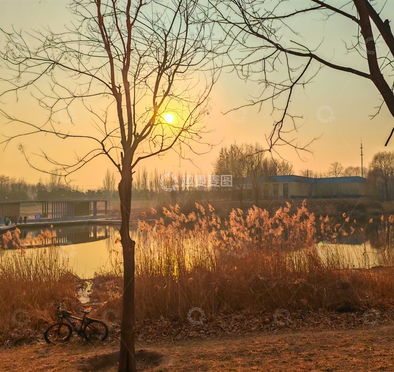 高清大图下载【趣麦麦图】夕阳湖畔树影自行