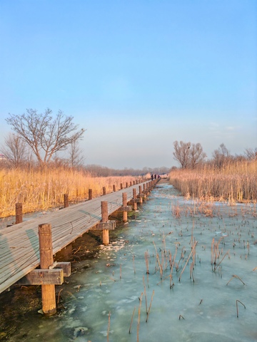 冬日湿地木栈道