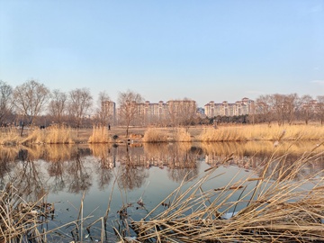 城市湿地风光摄影