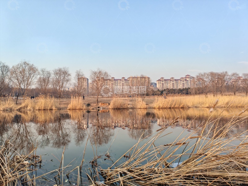 高清大图下载【趣麦麦图】城市湿地风光摄影