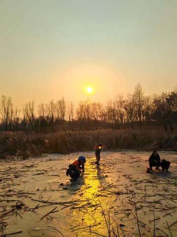 冬日冰面嬉戏剪影