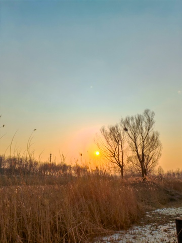 冬日黄昏荒野美景
