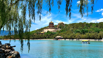 蓝天白云湖边垂柳