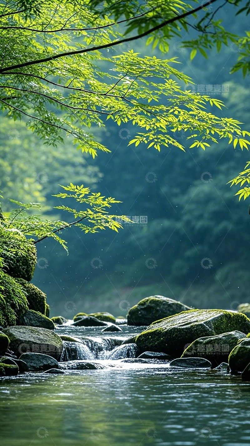 高清大图下载【趣麦麦图】绿意溪流自然风光