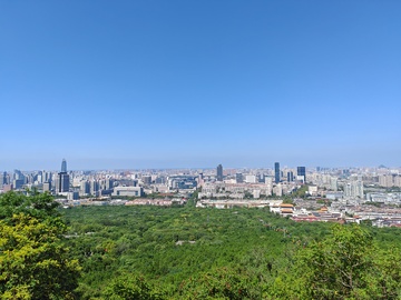 城市天际线绿树环绕