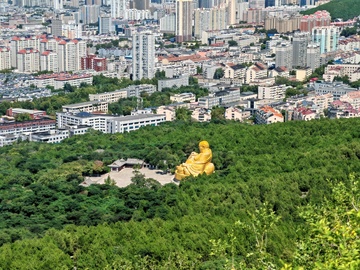 城市风光金色佛像山林景观