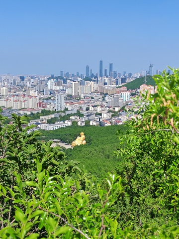 城市绿意与高楼全景