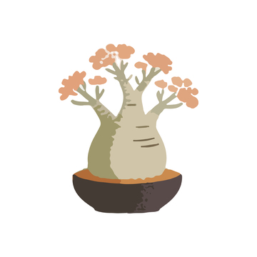 简约风格盆栽插画设计素材