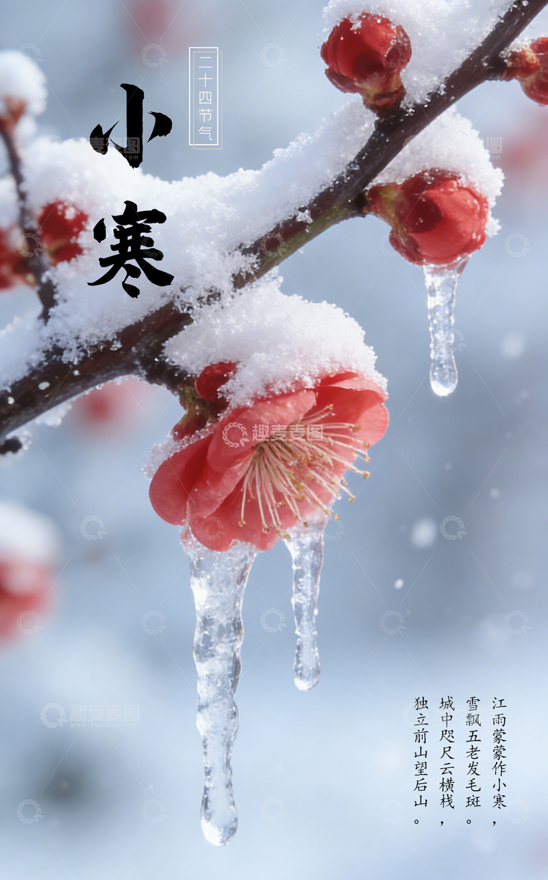 源文件下载【趣麦麦图】小寒节气雪中红梅古诗意境海报