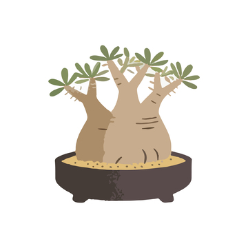 卡通风格盆栽植物插画