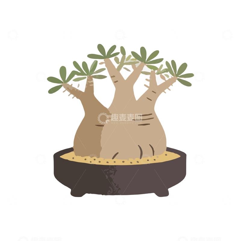 源文件下载【趣麦麦图】卡通风格盆栽植物插画