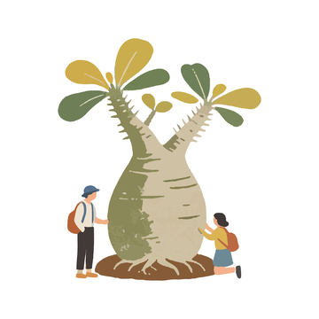 简约插画风格植物探险场景