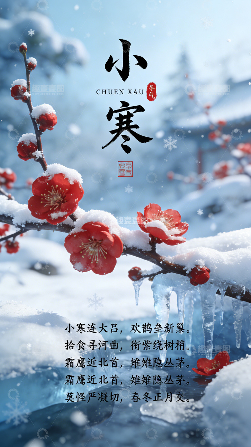 高清大图下载【趣麦麦图】小寒雪梅迎春冬日景壁纸