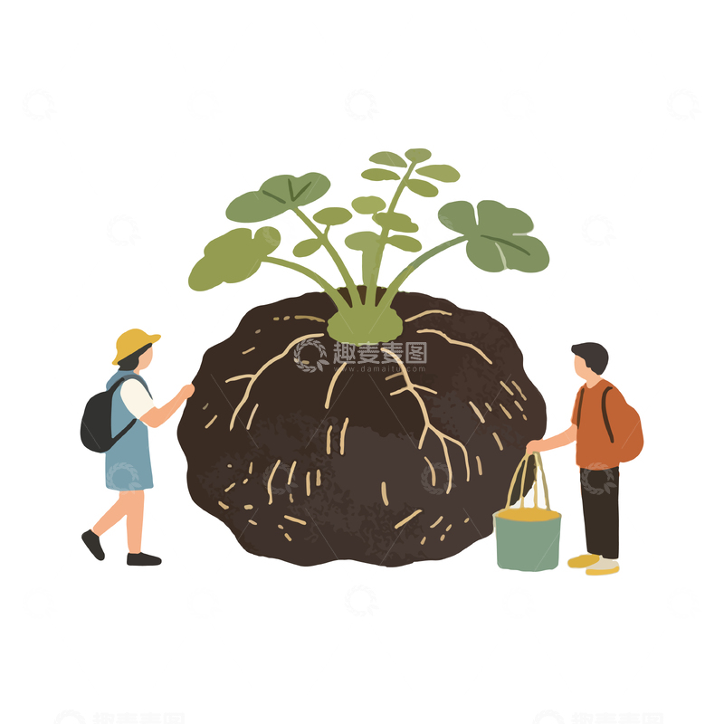 源文件下载【趣麦麦图】卡通插画植物种植