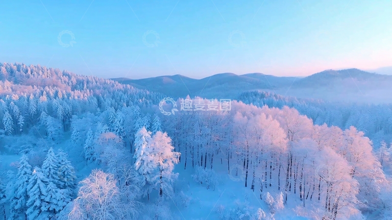 高清大图下载【趣麦麦图】银树裹雪霜谷间雾霭轻