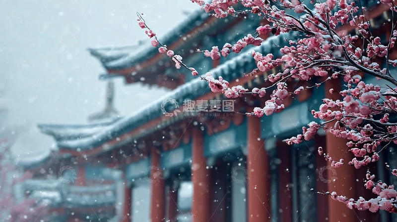 高清大图下载【趣麦麦图】梅枝裹雪映古楼雪纷纷