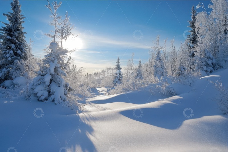 高清大图下载【趣麦麦图】冬天冬季森林雪景
