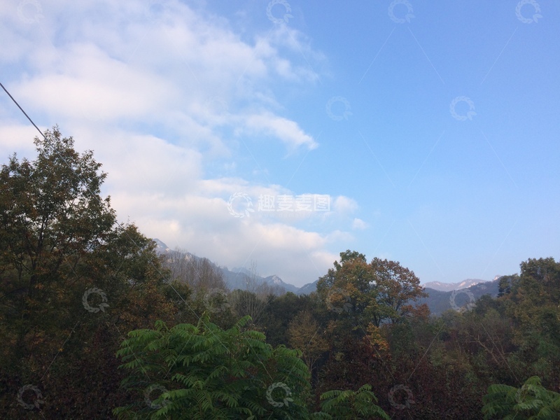 高清大图下载【趣麦麦图】森林植被风景