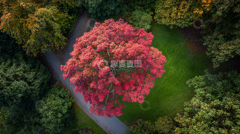 高清大图下载【趣麦麦图】秋天的红叶奇观
