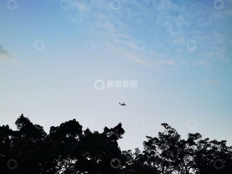 高清大图下载【趣麦麦图】天空飞机树影剪影