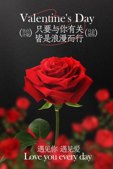 情人节红玫瑰浪漫告白海报