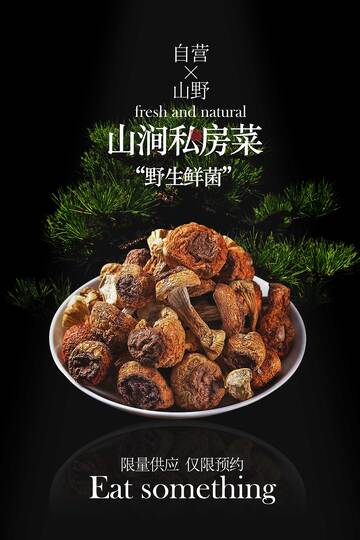 美味山海野山菌私房菜海报