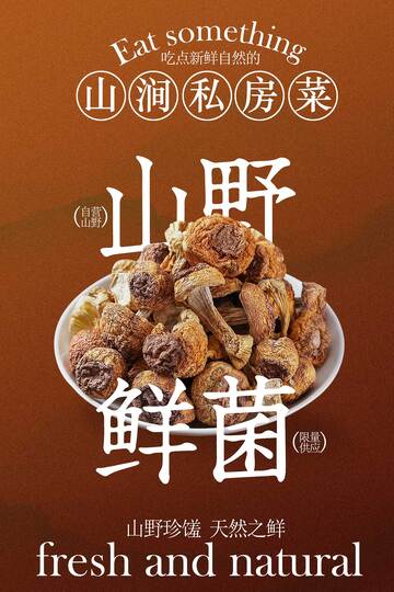 山野鲜菌美食宣传海报