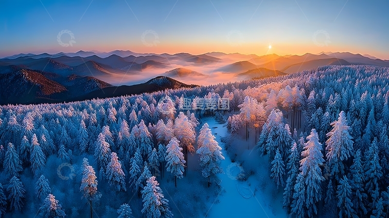 高清大图下载【趣麦麦图】雪岭晨光森林风光