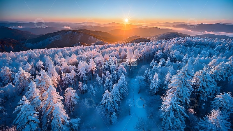 高清大图下载【趣麦麦图】雪景晨曦森林风光航拍