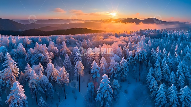 高清大图下载【趣麦麦图】雪景森林日出航拍