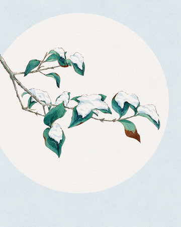 覆雪枝叶的中式唯美画面