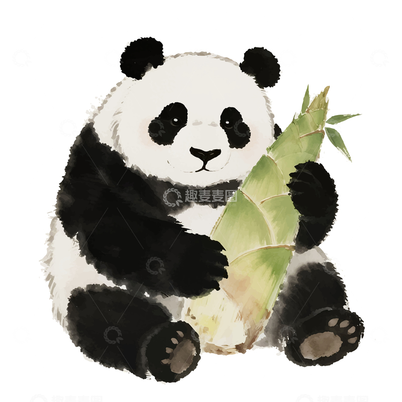 源文件下载【趣麦麦图】水墨熊猫与竹手绘插画
