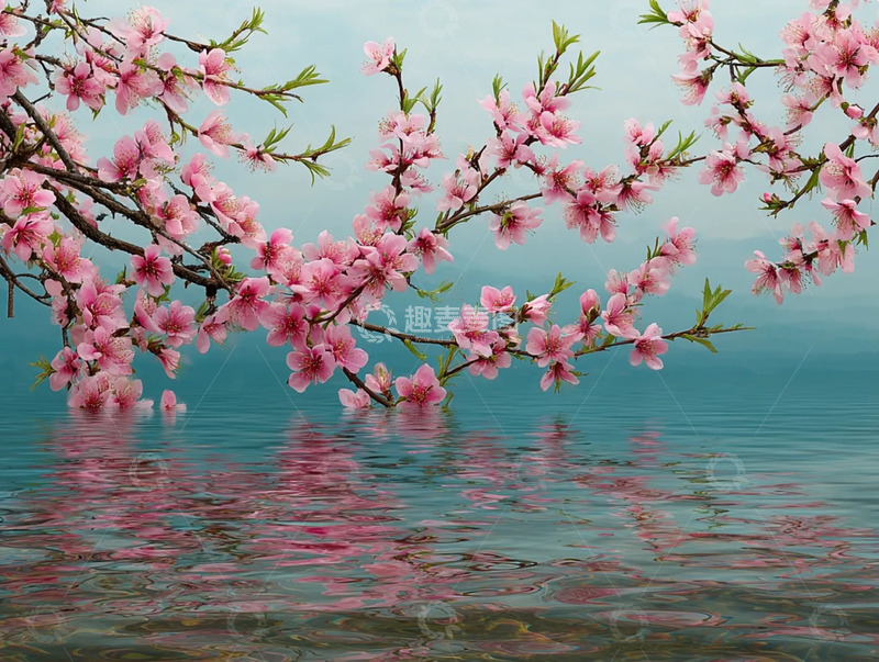 高清大图下载【趣麦麦图】粉桃摇曳伴湖光