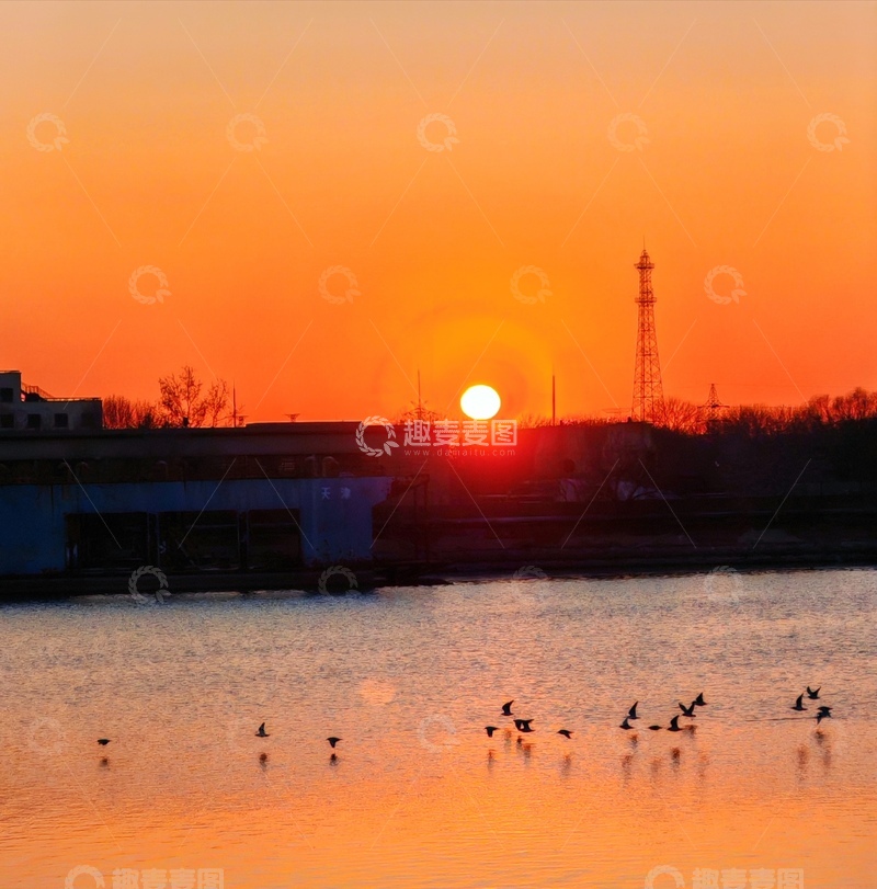 高清大图下载【趣麦麦图】落日余晖水鸟归