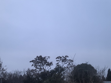 蓝调树木剪影风景摄影