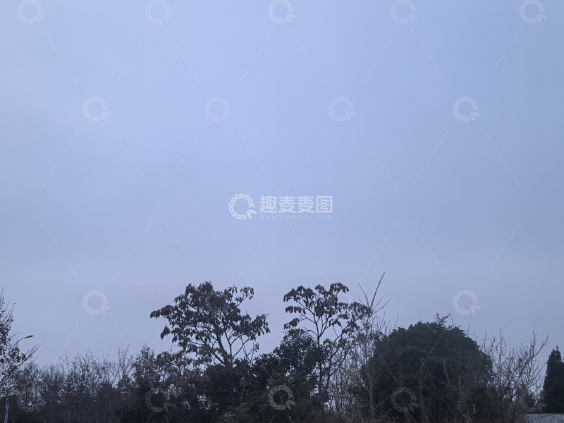 高清大图下载【趣麦麦图】蓝调树木剪影风景摄影