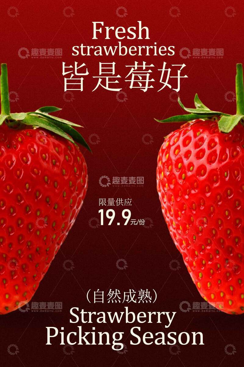 源文件下载【趣麦麦图】-新鲜草莓开启美好采摘季海报