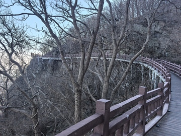 冬日栈道树林景观