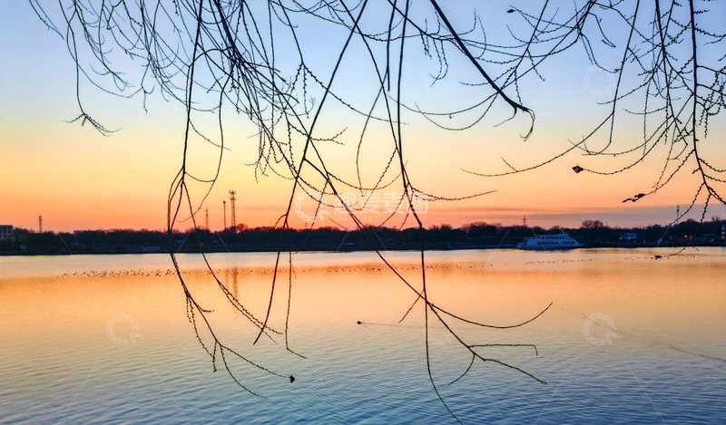 高清大图下载【趣麦麦图】黄昏湖景树枝剪影