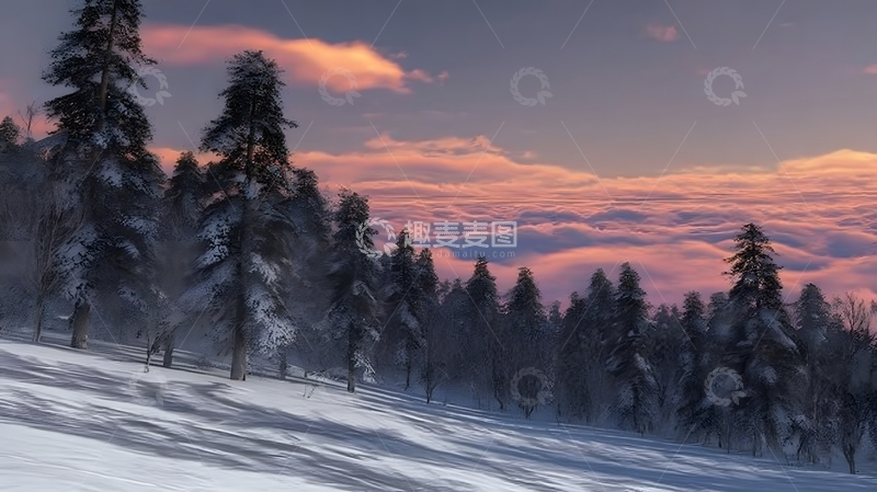 高清大图下载【趣麦麦图】雪景日落森林风光摄影