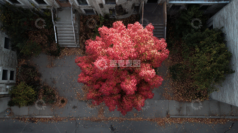 高清大图下载【趣麦麦图】高空俯瞰秋色