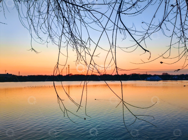 高清大图下载【趣麦麦图】黄昏湖景树枝剪影1