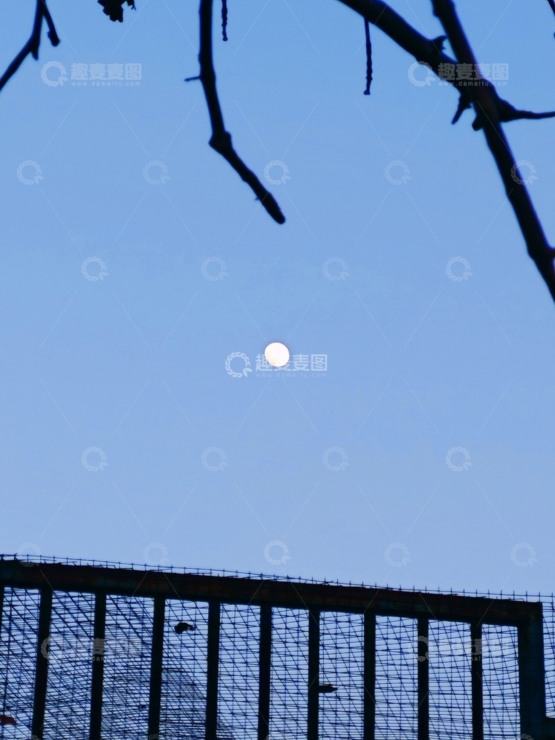 高清大图下载【趣麦麦图】蓝调夜空月亮树枝围栏