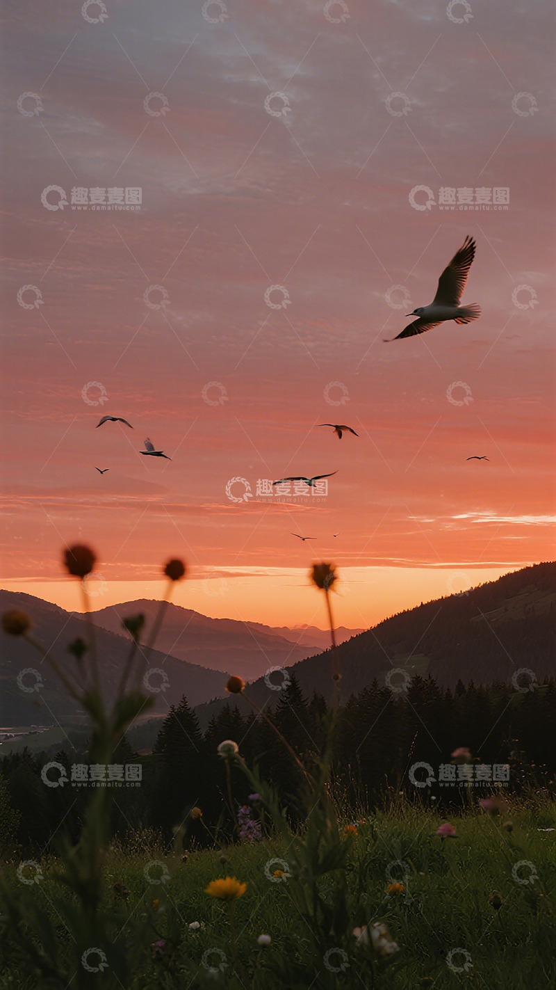 高清大图下载【趣麦麦图】日落飞鸟山景自然风光