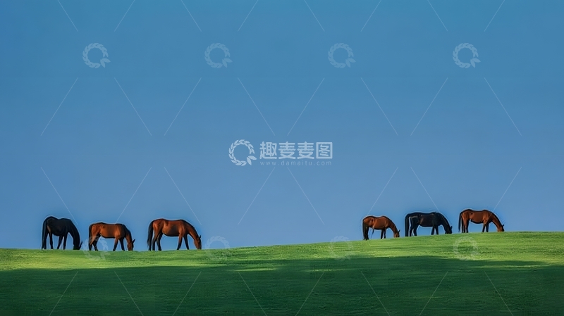 高清大图下载【趣麦麦图】-草原骏马风景摄影