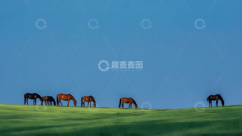 高清大图下载【趣麦麦图】草原马群风景摄影
